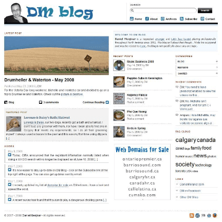 DM Blog 2008