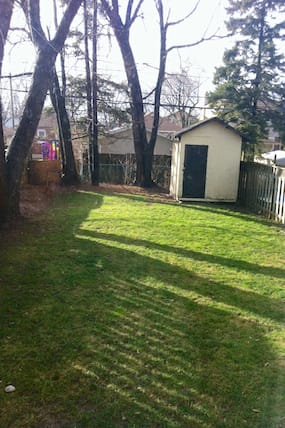Green Backyard