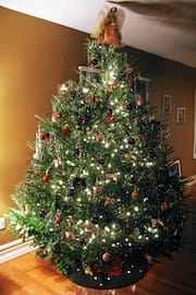 2008 Christmas Tree