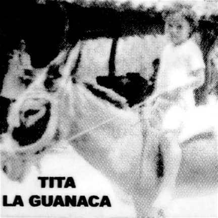 Tita La Guanaca Pupuseria
