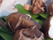 Chinese Mushrooms on Snow Peas