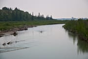 Weaselhead Flats