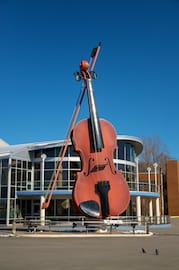 The Big Violin