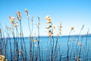 Bras d’Or Lake