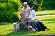 Michelle Sitting w/ The 3 Dogs