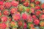 Red Rambutan