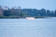 Speedboat at Cherry Beach