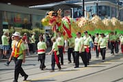 Parade Dragon
