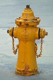 Yellow Fire Hydrant