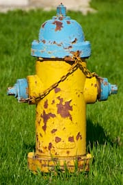 Yellow & Blue Fire Hydrant