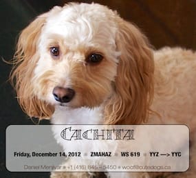 Cachita’s Kennel Label