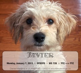 Javier’s Kennel Label