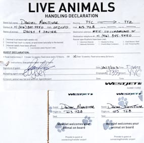 WestJet’s Live Animals Handling Declaration