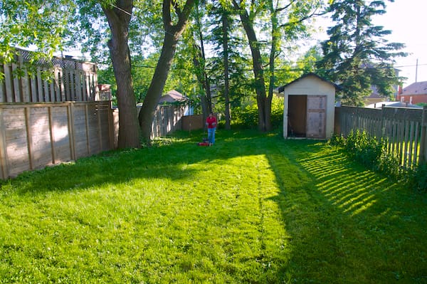 Michelle Mowing the Lawn